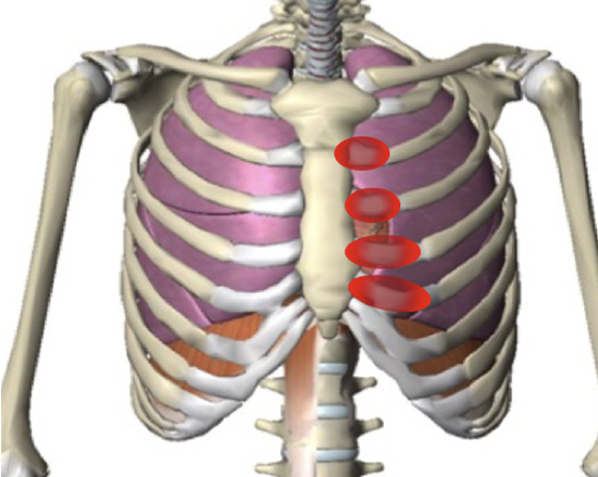 pain under lower rib cage